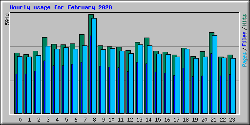 Hourly usage for February 2020