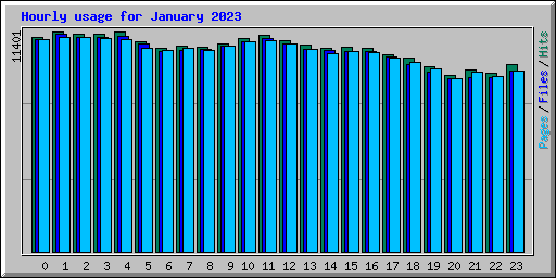 Hourly usage for January 2023