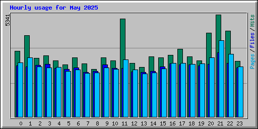 Hourly usage for May 2025
