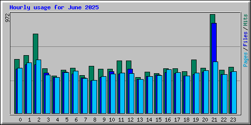 Hourly usage for June 2025
